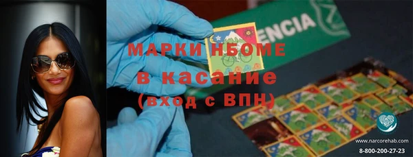 прущие грибы Анива