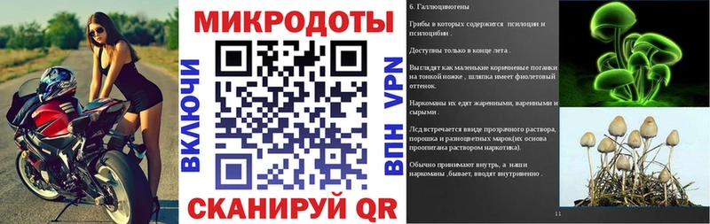 где найти наркотики  Болохово  Псилоцибиновые грибы GOLDEN TEACHER 